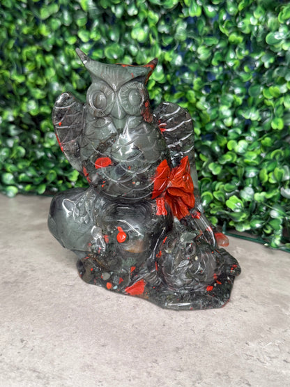 African Bloodstone Large Owl Crystal Carvings 744g