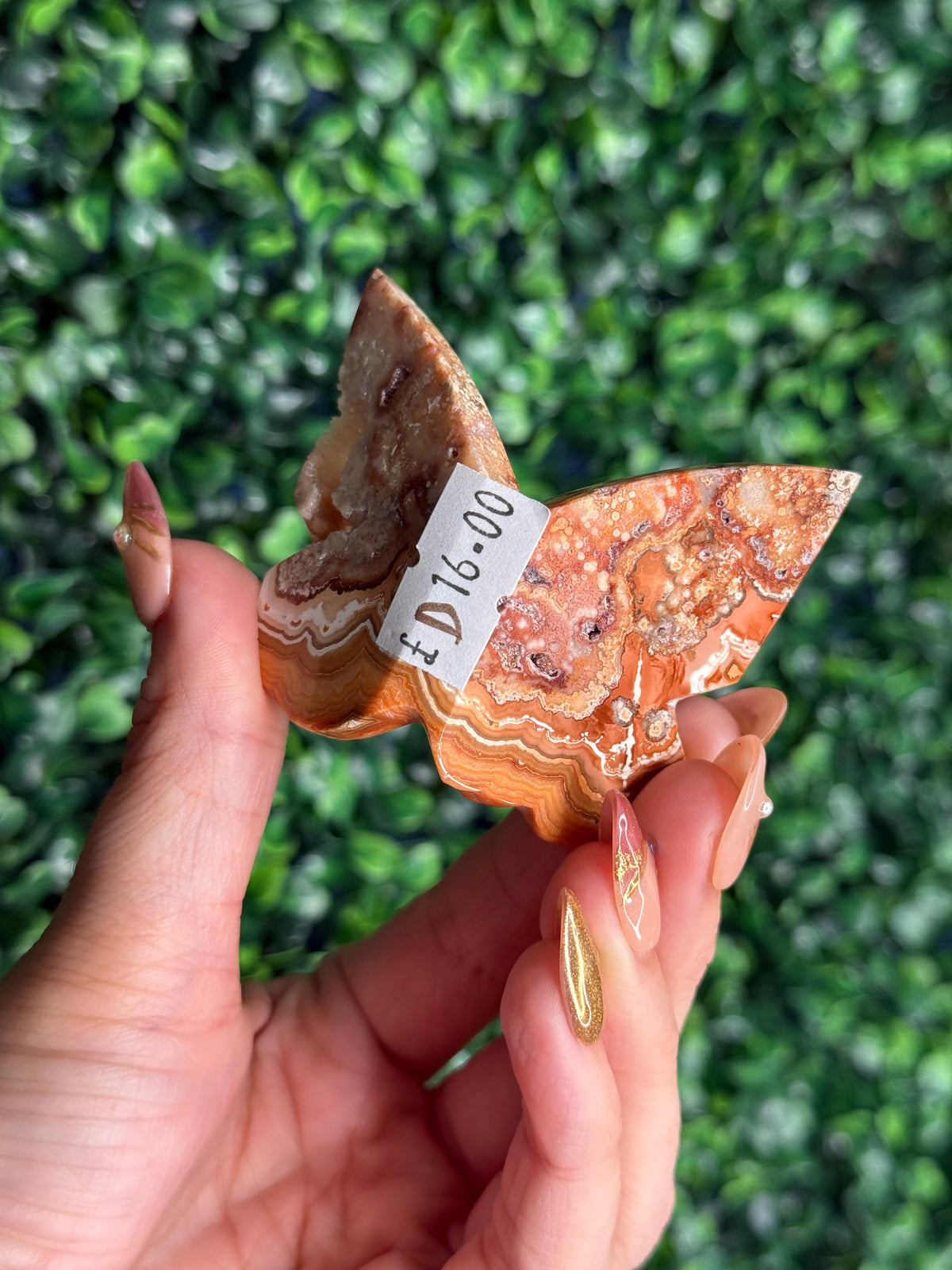 Crazy Lace Agate 3D Butterfly Crystal Carving from Indonesia D