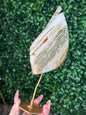 Pink Ocean Jasper teardrop Crystal carving from Indonesia A