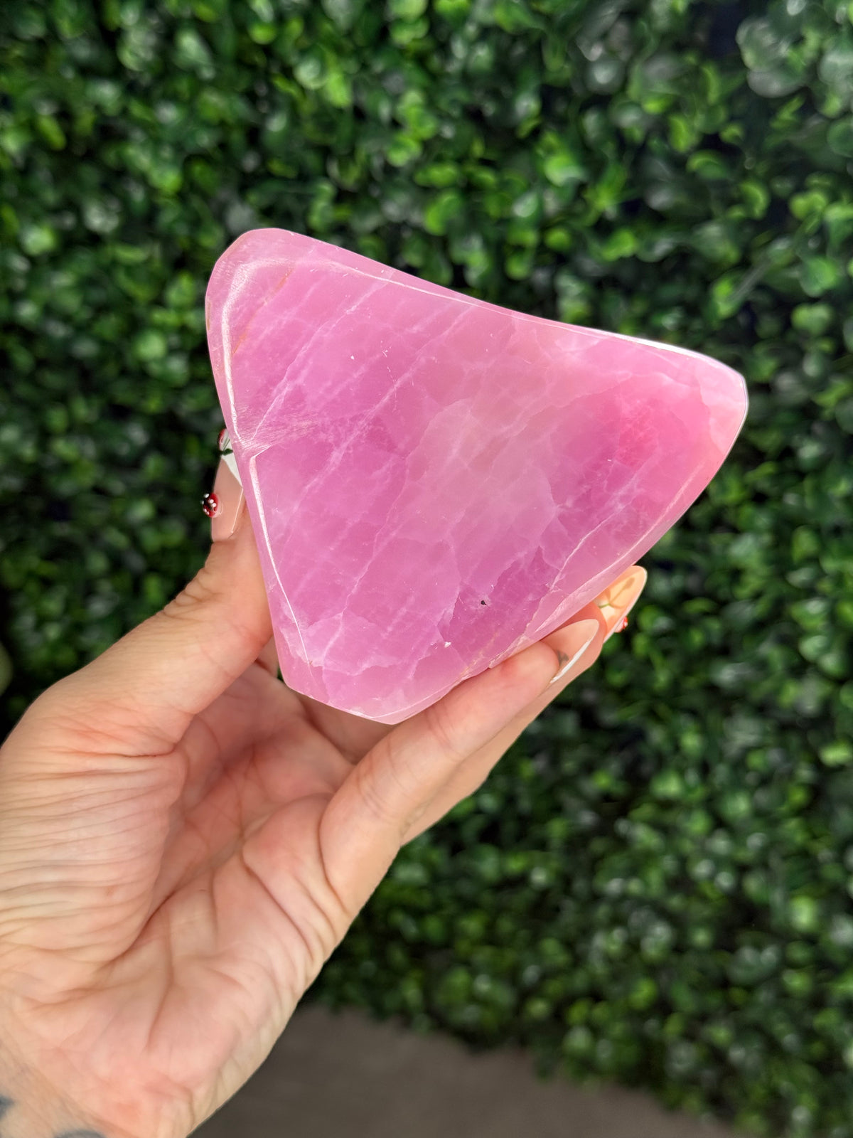 Large Pink Aragonite AAA with gold Stand from Afghanistan