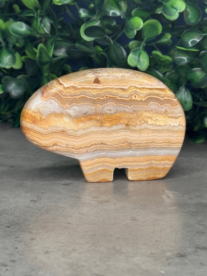 Yellow Crazy Lace Agate Bear Crystal Carvings - Indonesia