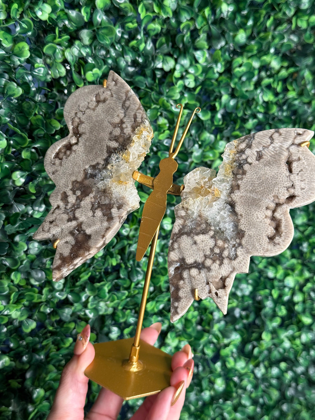 Chocolate Ocean Jasper with Quartz Butterfly Wings from Indonesia