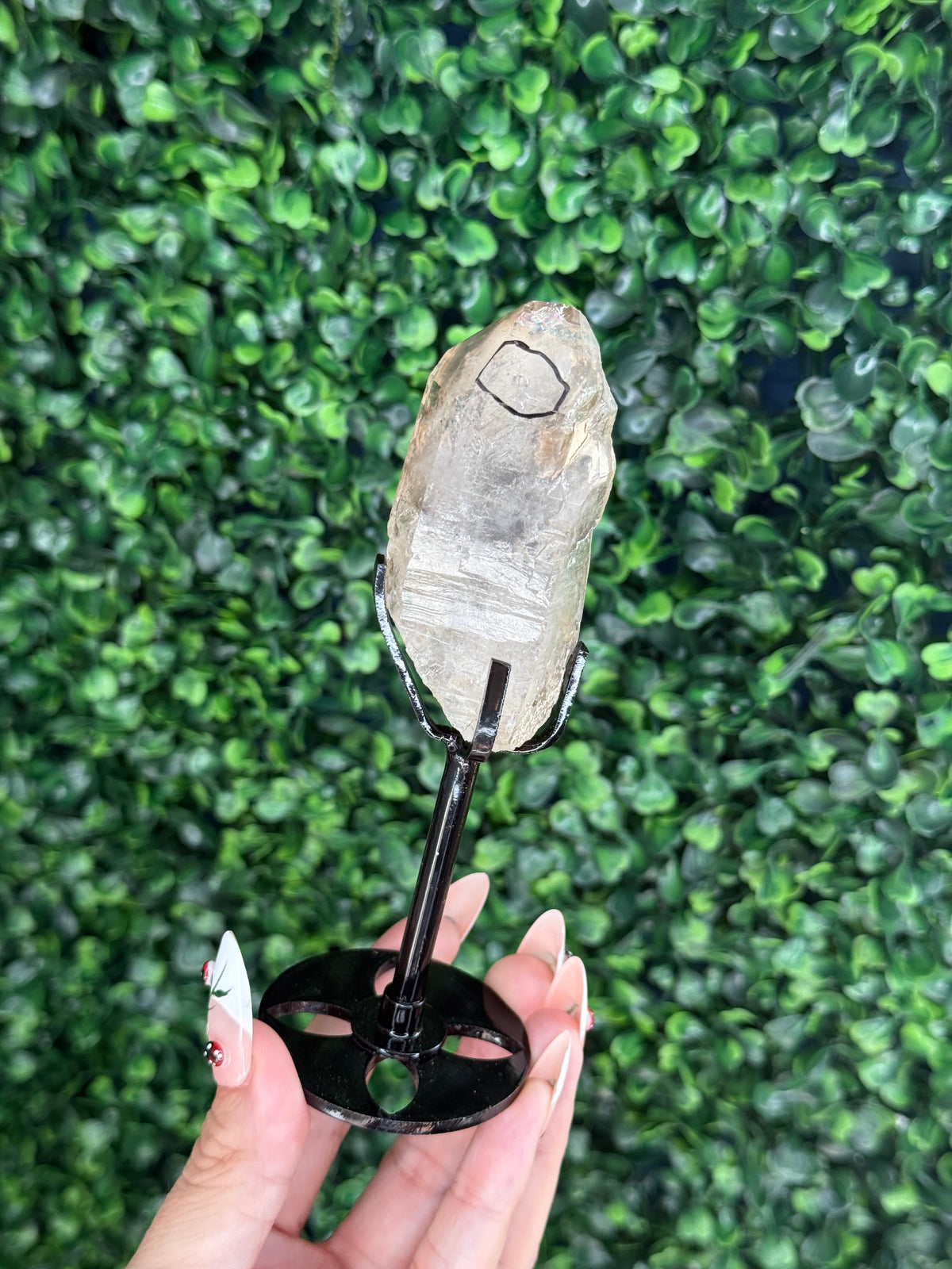 Super Visible raw Smokey Quartz Enhydro with custom stand