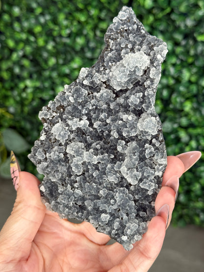 Black Chalcedony Crystal Specimen B