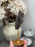 Pyritized Petrified Wood from Indonesia - F
