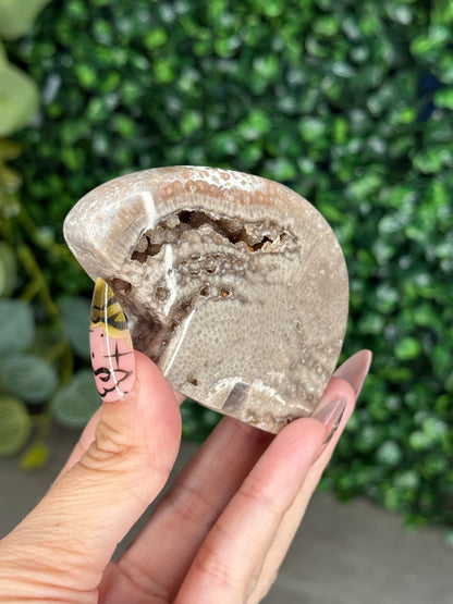 Chocolate Ocean Jasper Bear Crystal Carving
