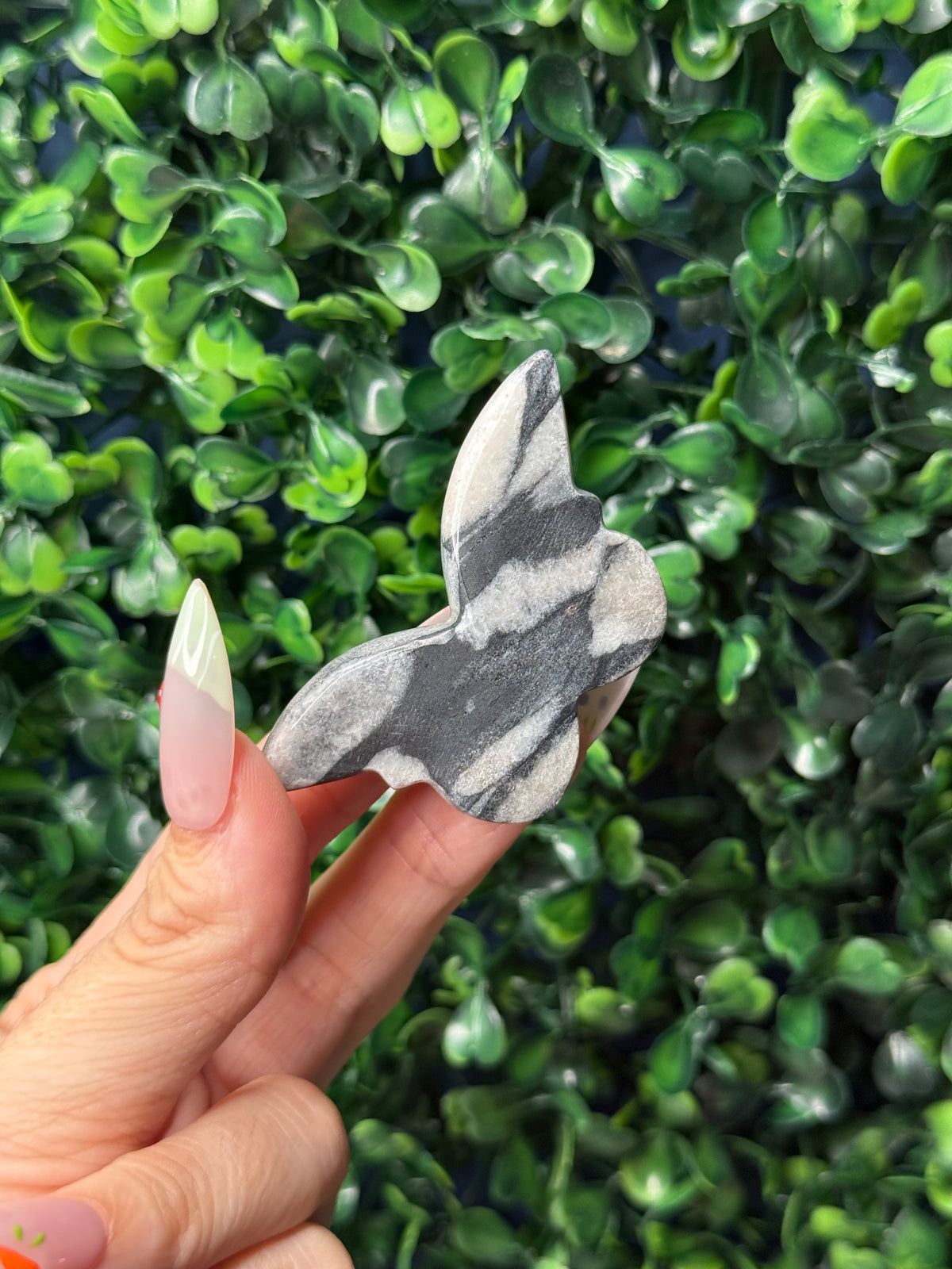 Shell Jasper Mini Butterfly Crystal Carvings - Pakistan