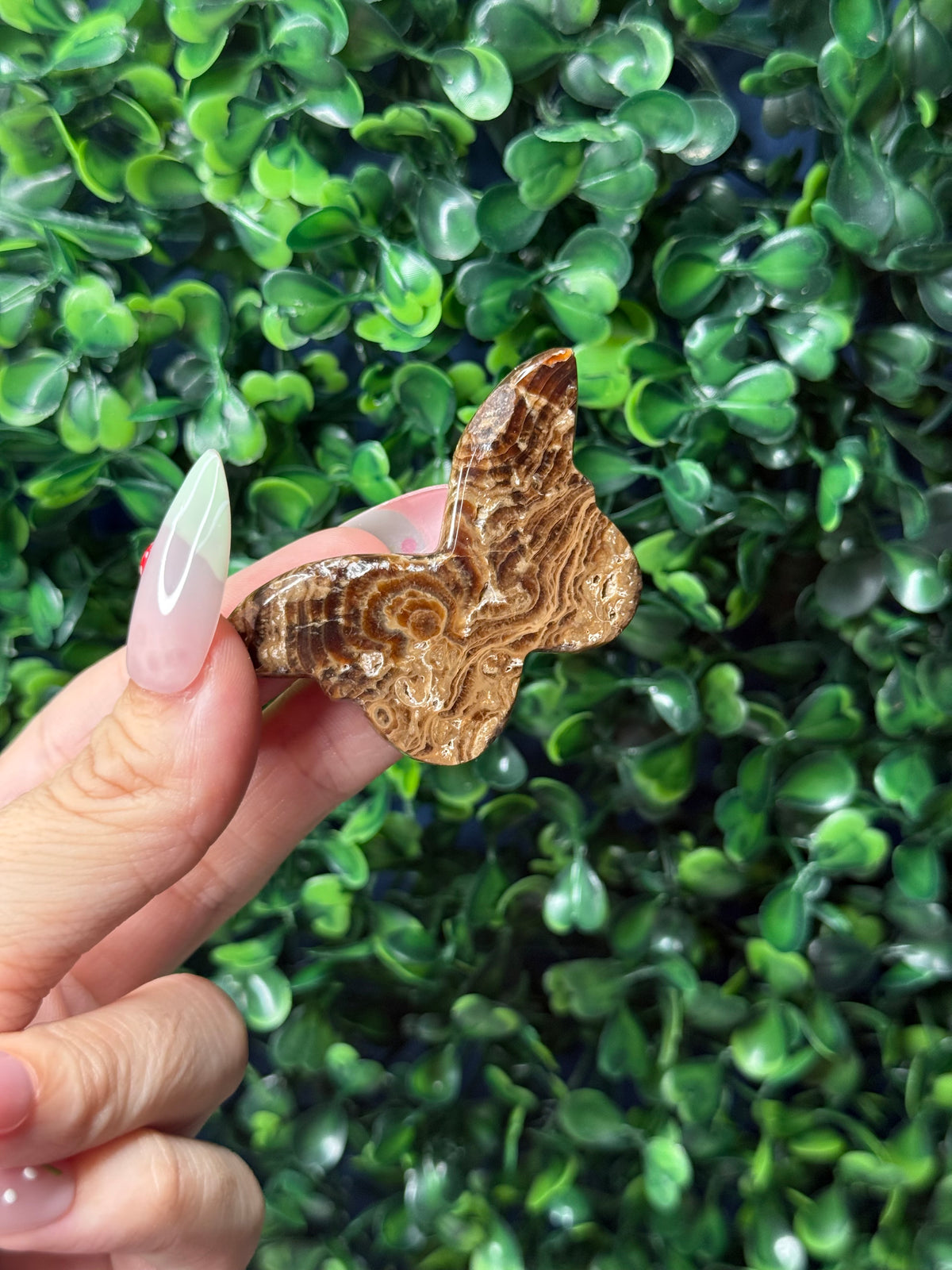 Chocolate Calcite Mini Butterfly Crystal Carvings - Pakistan