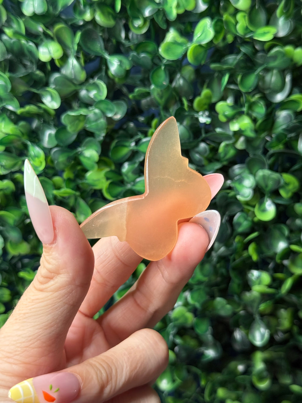 Peach Calcite Mini Butterfly Crystal Carvings - Pakistan