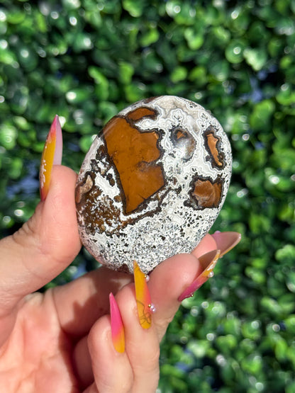 Brecciated Jasper Druzy Palmstones - Indonesia