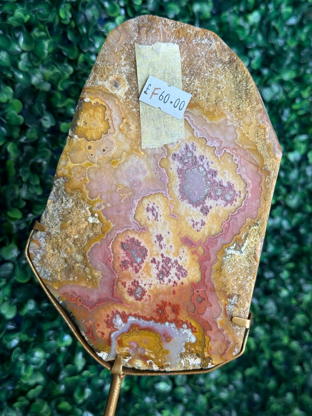 Colourful Crazy Lace Agate Slab from Indonesia F