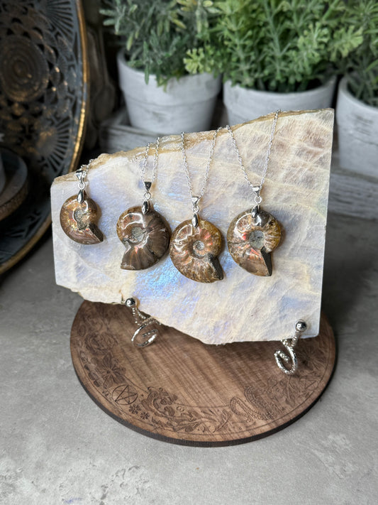 Ammonite Fossil Crystal Shell Pendant Necklaces