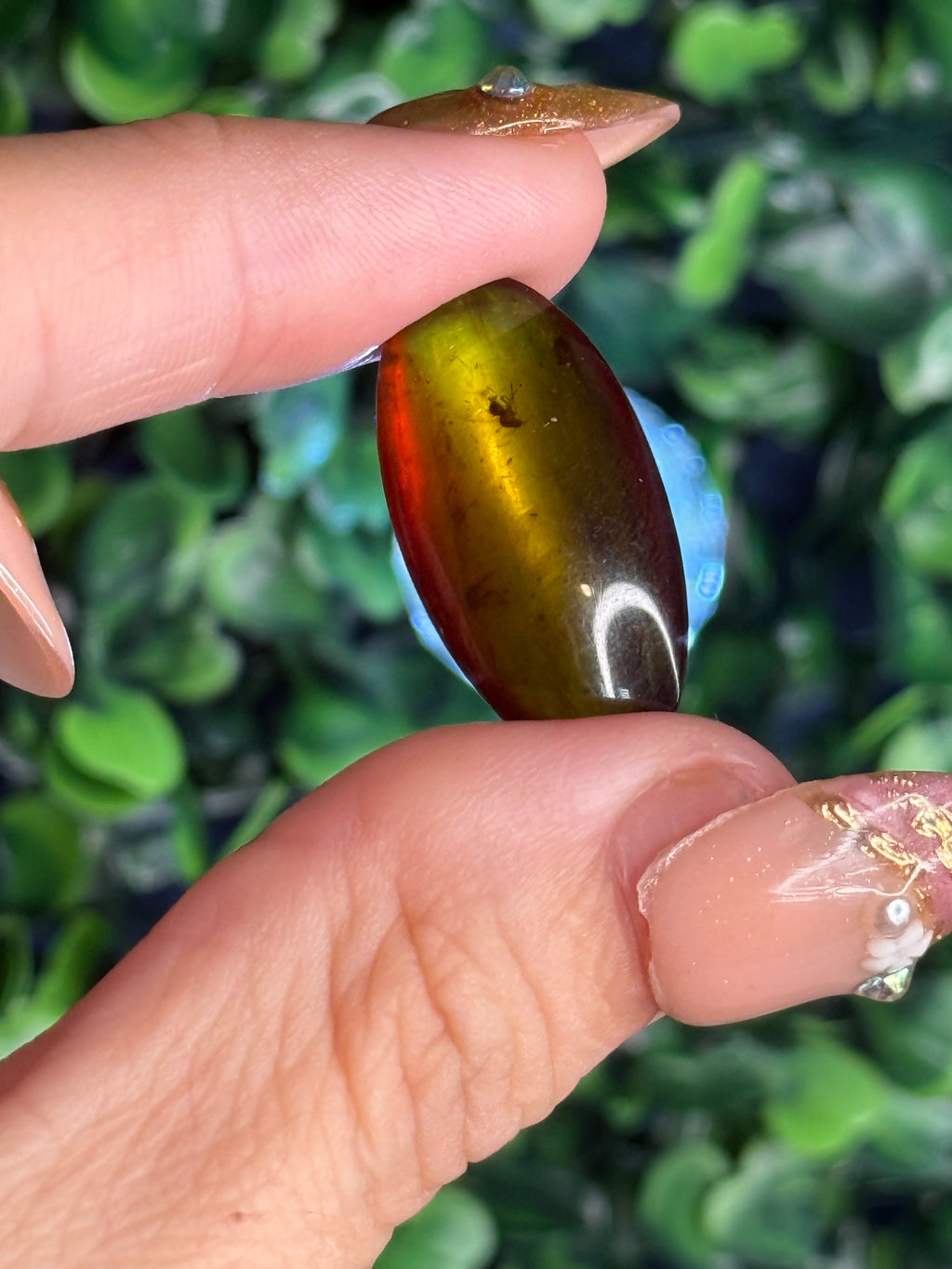 Burmese Cretaceous Amber (UV Fluorescent) with Insects and Inclusions A