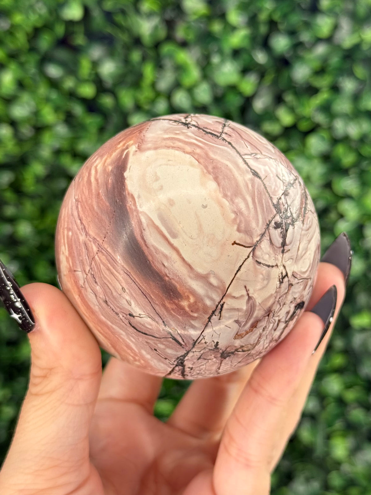 Pink Picture Jasper Spheres C