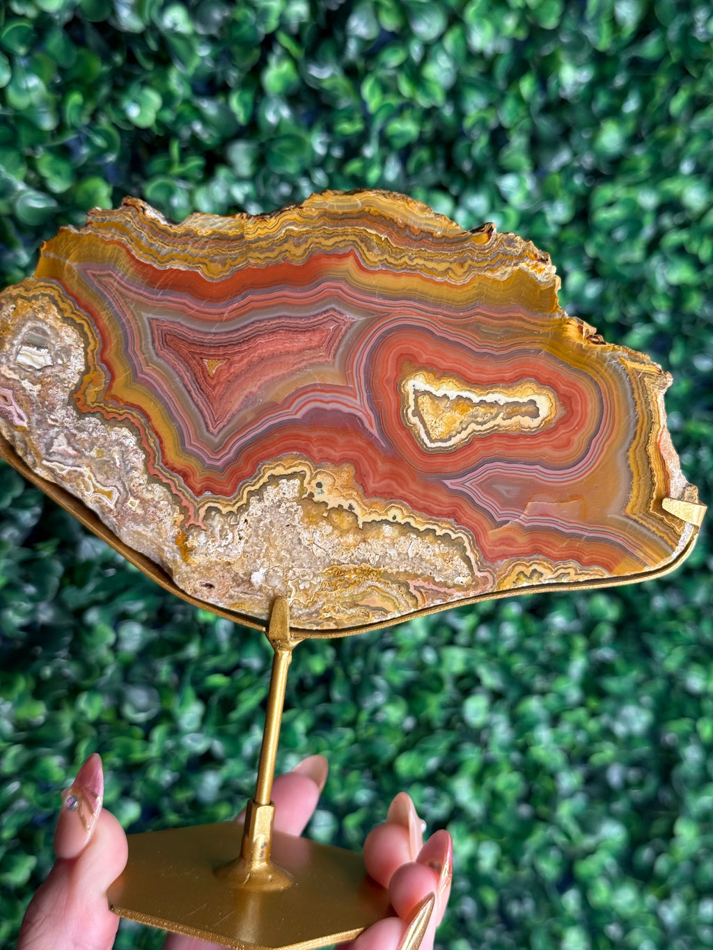 Colourful Crazy Lace Agate Slab from Indonesia - N
