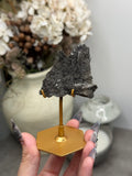 Pyritized Petrified Wood from Indonesia - H