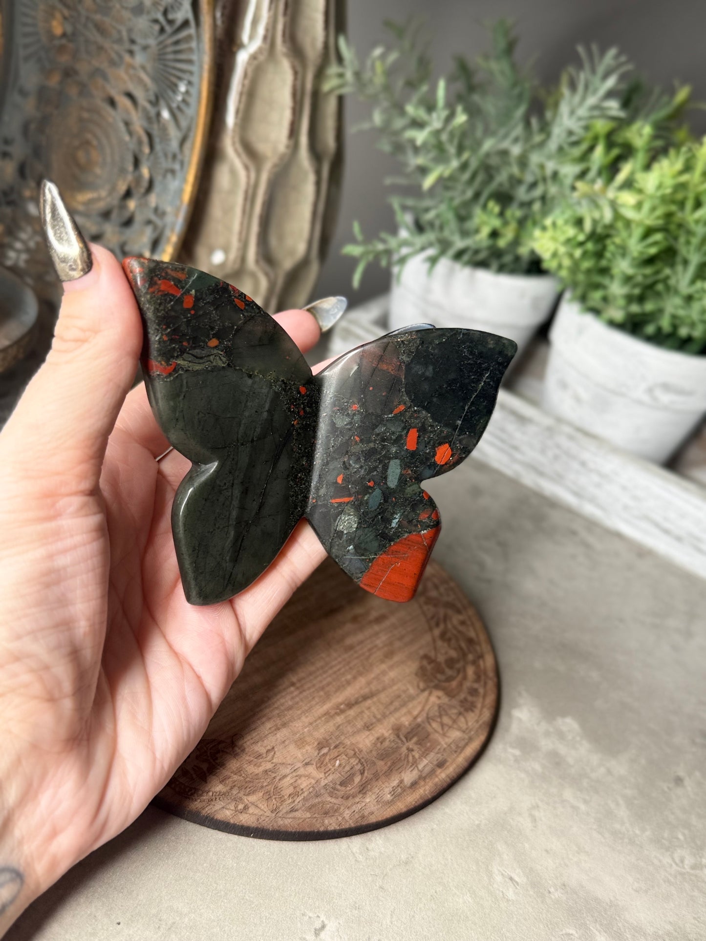 African Bloodstone 3D Butterfly