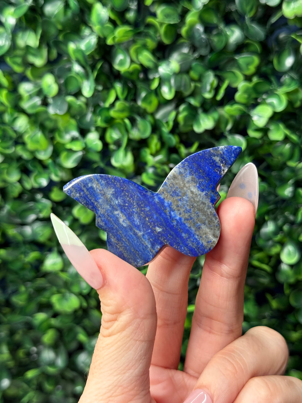 Lapis Lazuli Mini Butterfly Crystal Carvings - Afghanistan
