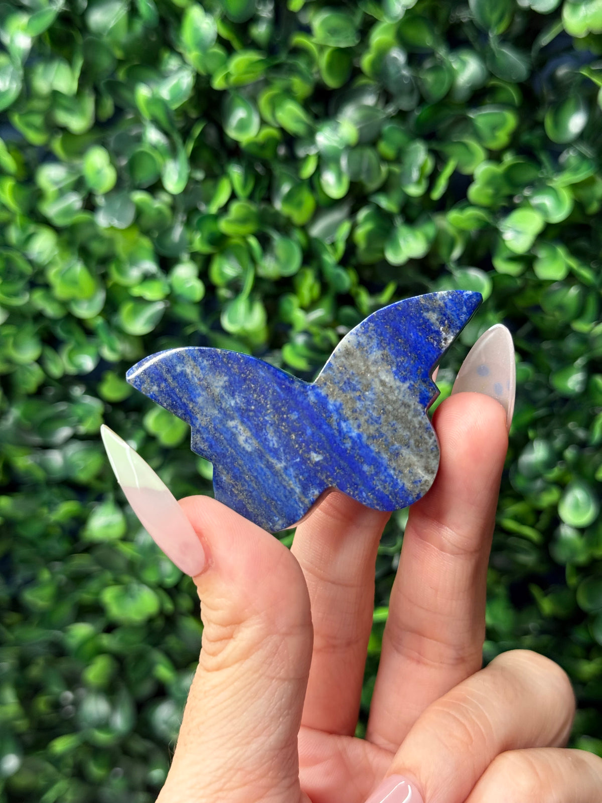 Lapis Lazuli Mini Butterfly Crystal Carvings - Afghanistan