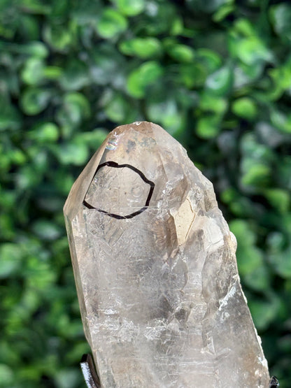 Super Visible raw Smokey Quartz Enhydro with custom stand