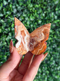 Crazy Lace Agate 3D Butterfly Crystal Carving from Indonesia B