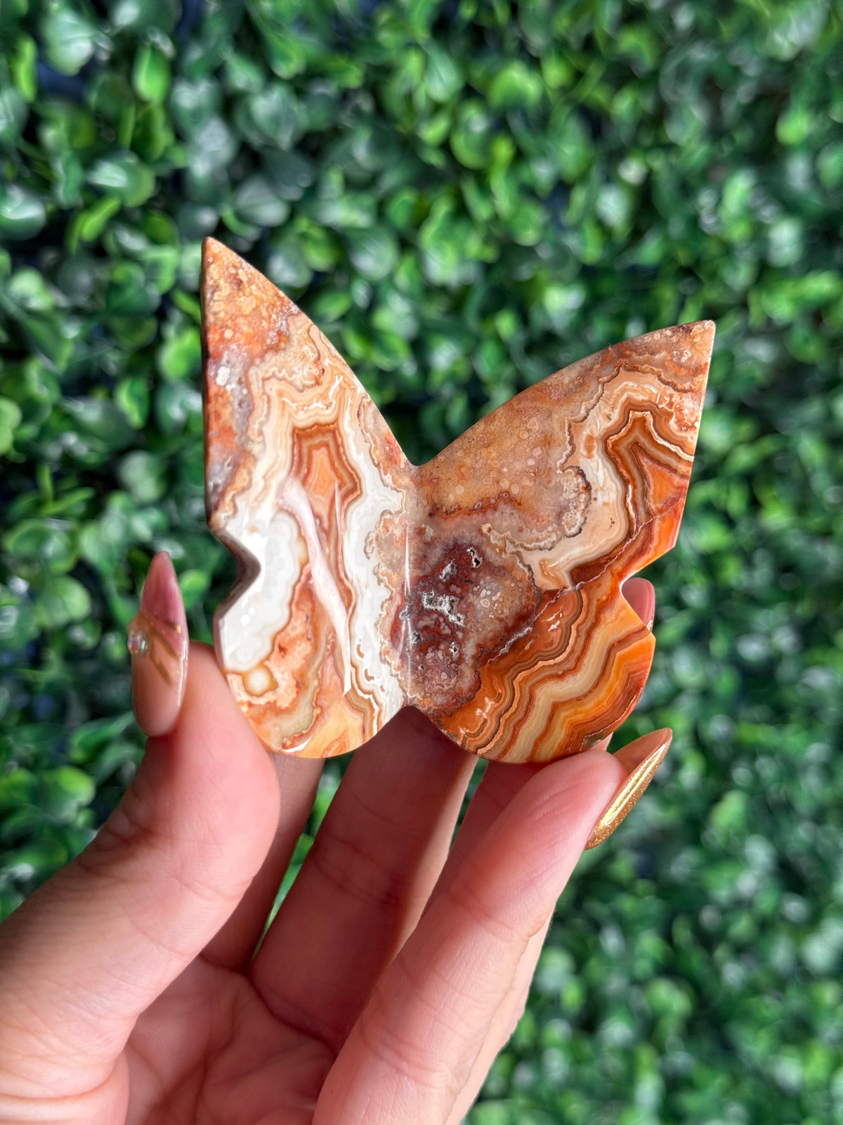 Crazy Lace Agate 3D Butterfly Crystal Carving from Indonesia B