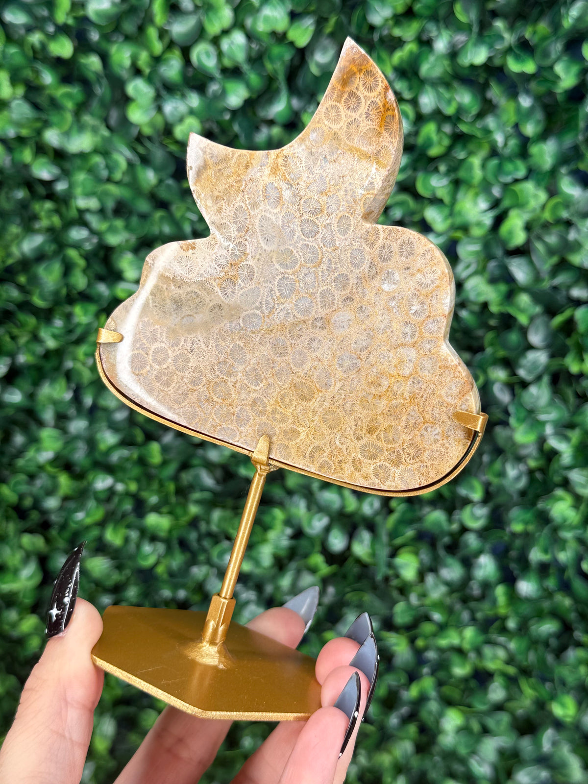 Fossil Coral Cloud & Moon Crystal Carving - B