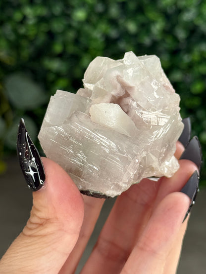 Pink & Green Apophyllite Specimens - W
