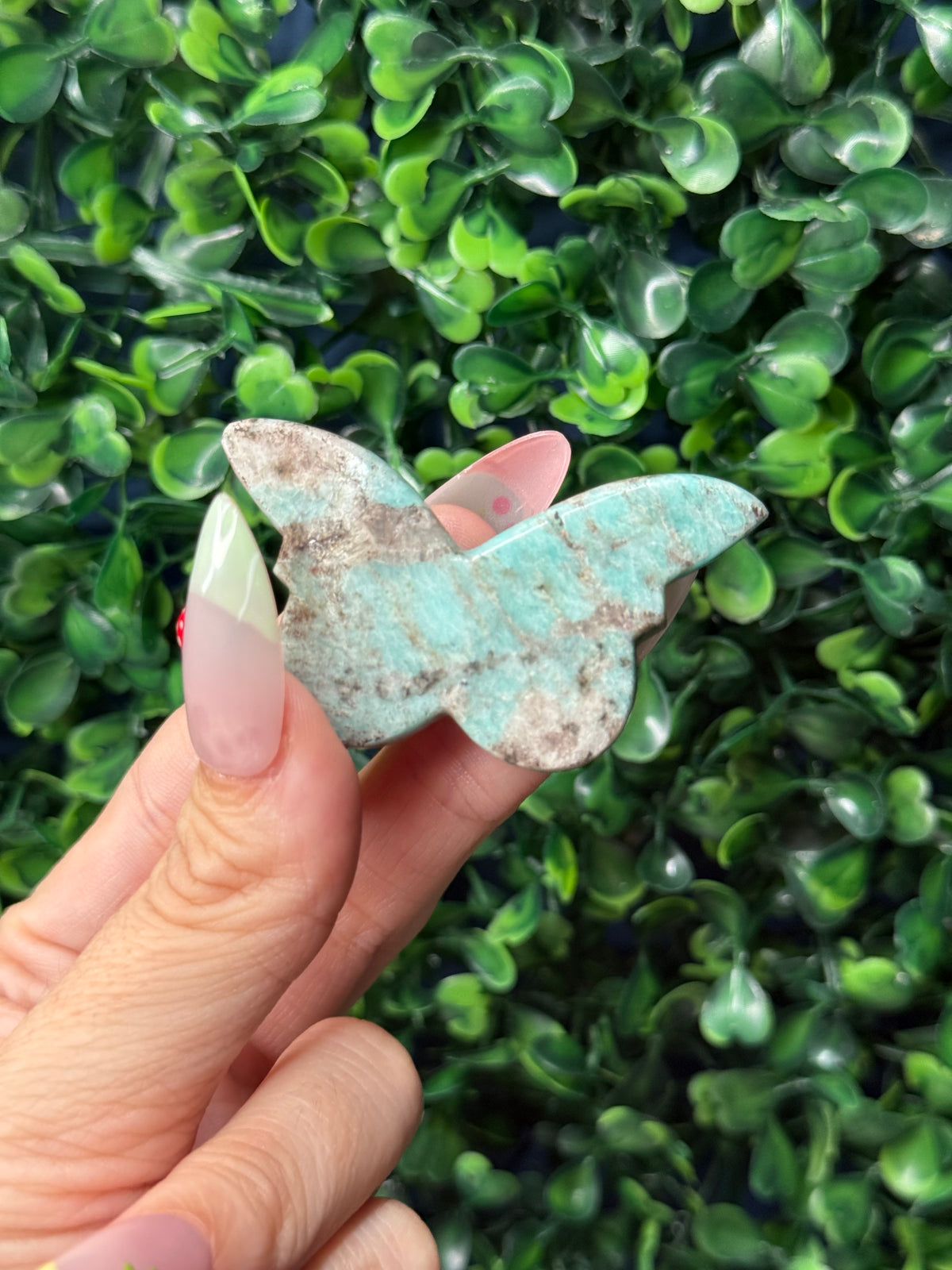 Amazonite Mini Butterfly Crystal Carvings - Pakistan