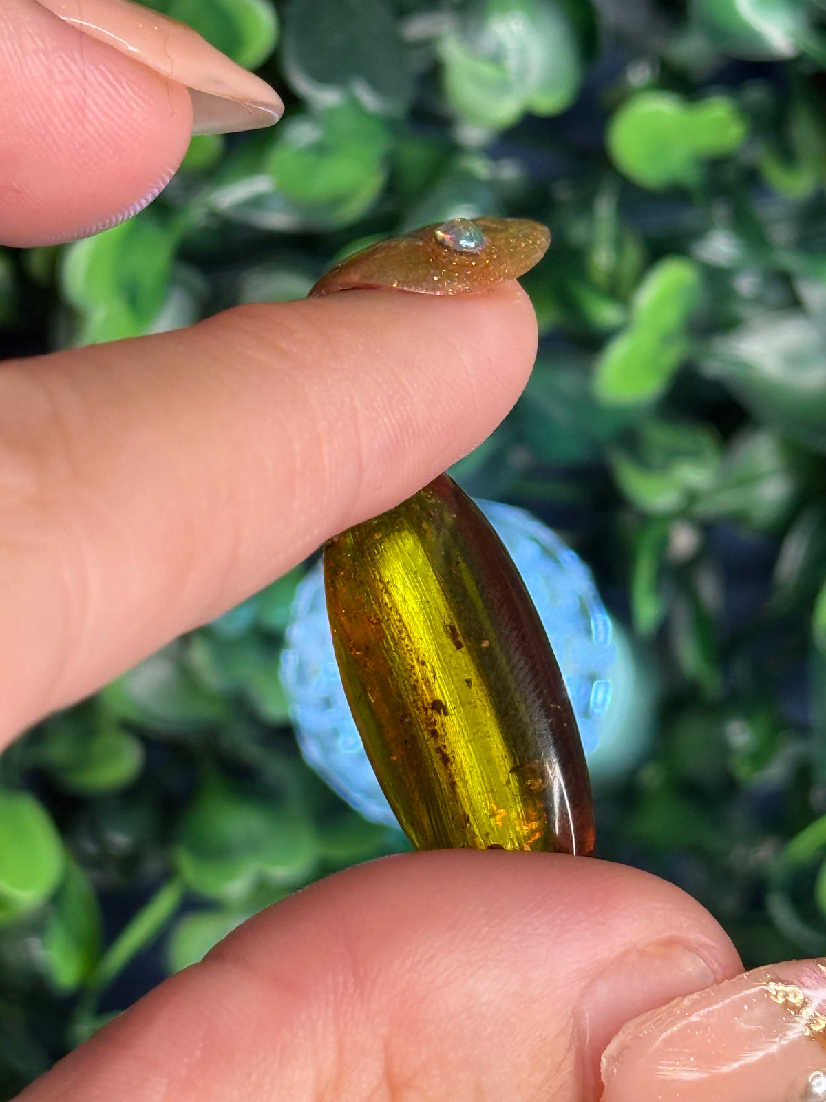 Burmese Cretaceous Amber (UV Fluorescent) with Insects and Inclusions B