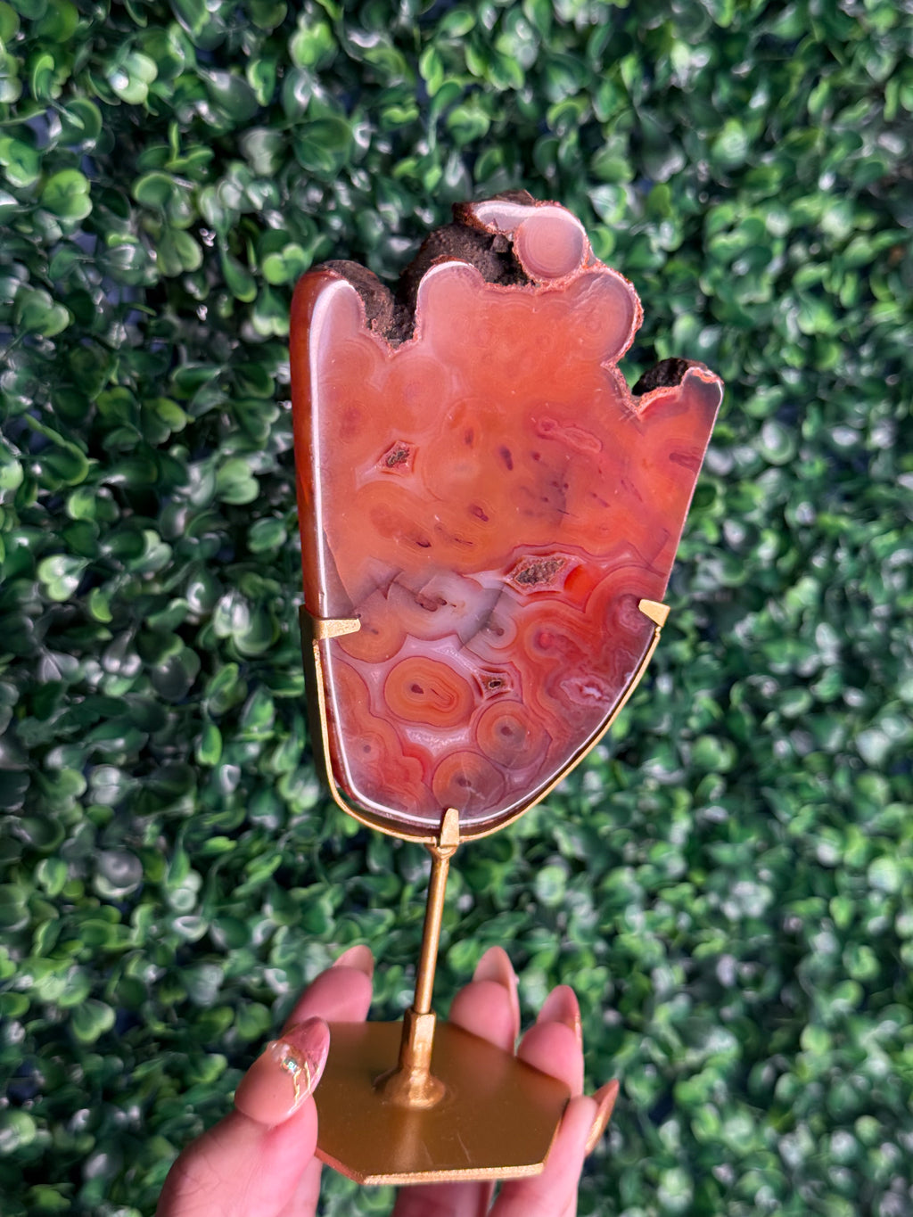 Red Carnelian Slab B from Indonesia with gold stand