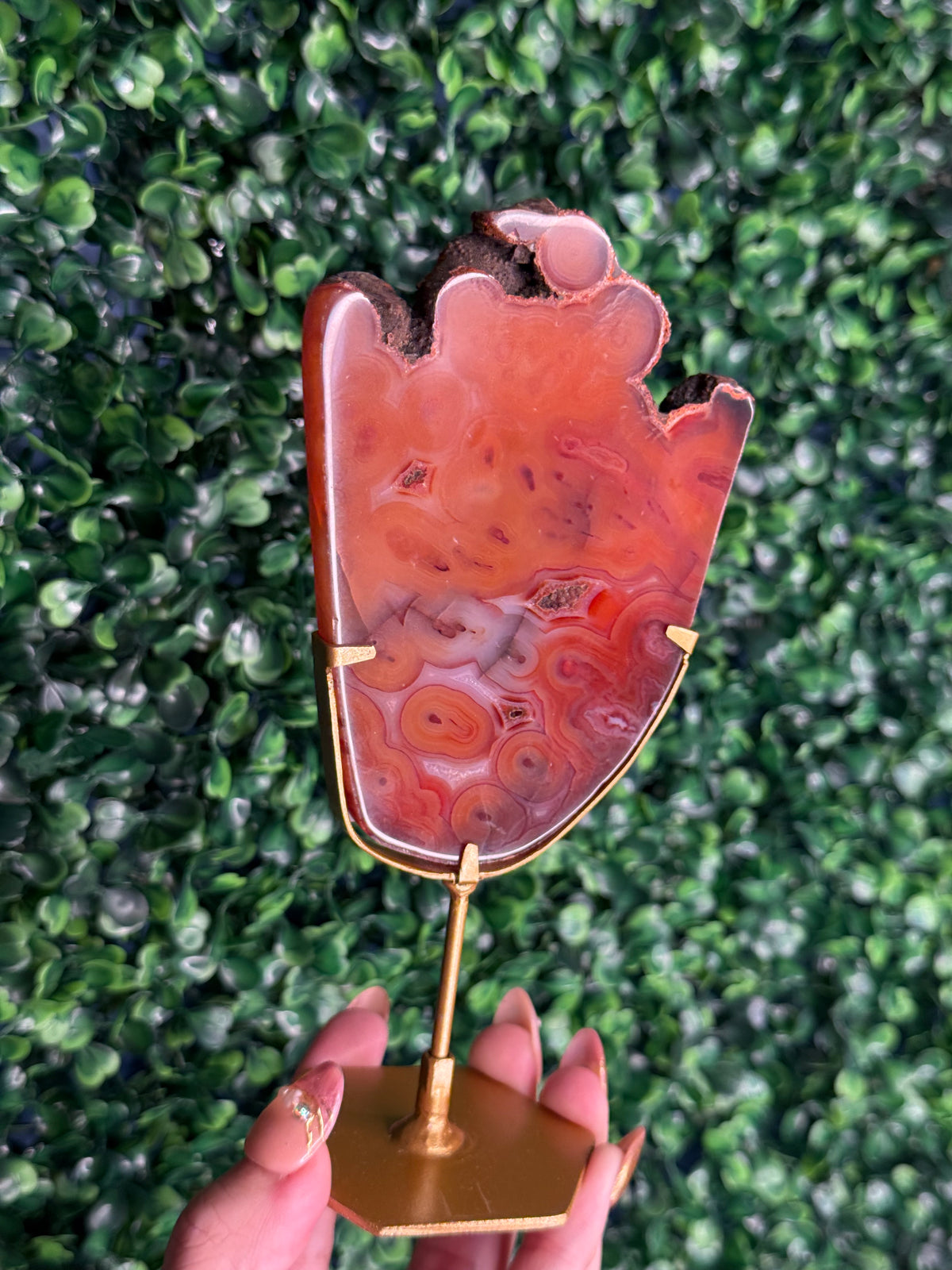 Red Carnelian Slab B from Indonesia with gold stand