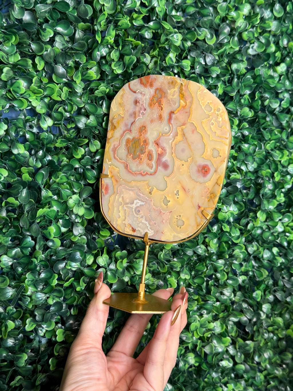 Colourful Crazy Lace Agate Slab from Indonesia B