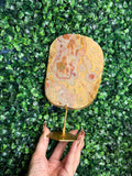 Colourful Crazy Lace Agate Slab from Indonesia B