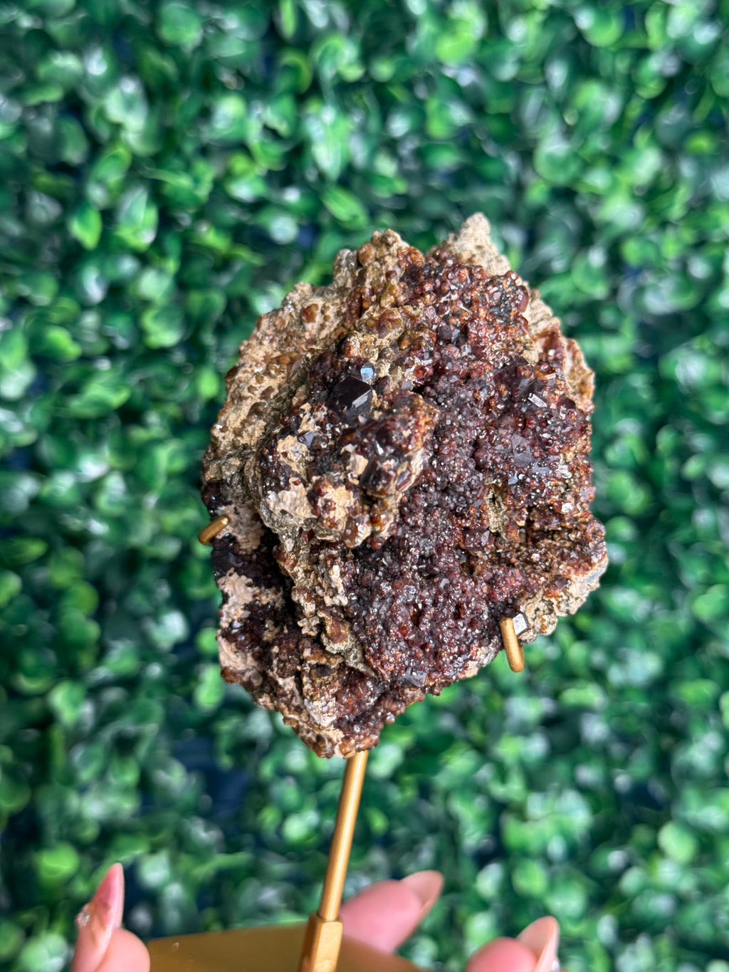 Andradite garnet from Nusa Tenggara Timur - Indonesia - A