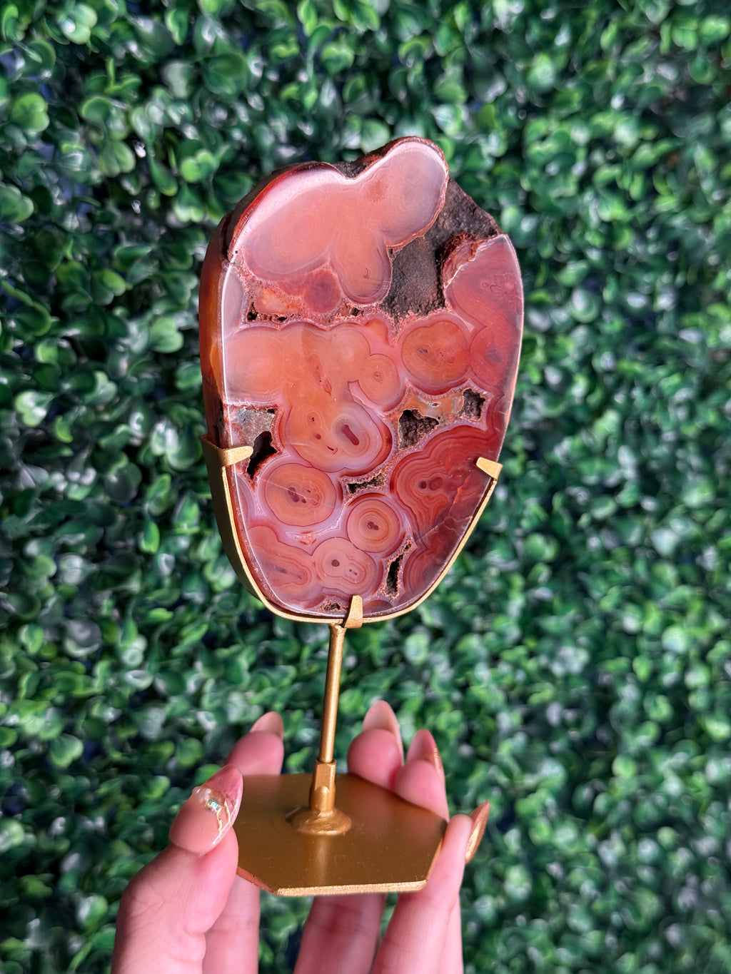 Red Carnelian Slab A from Indonesia with gold stand