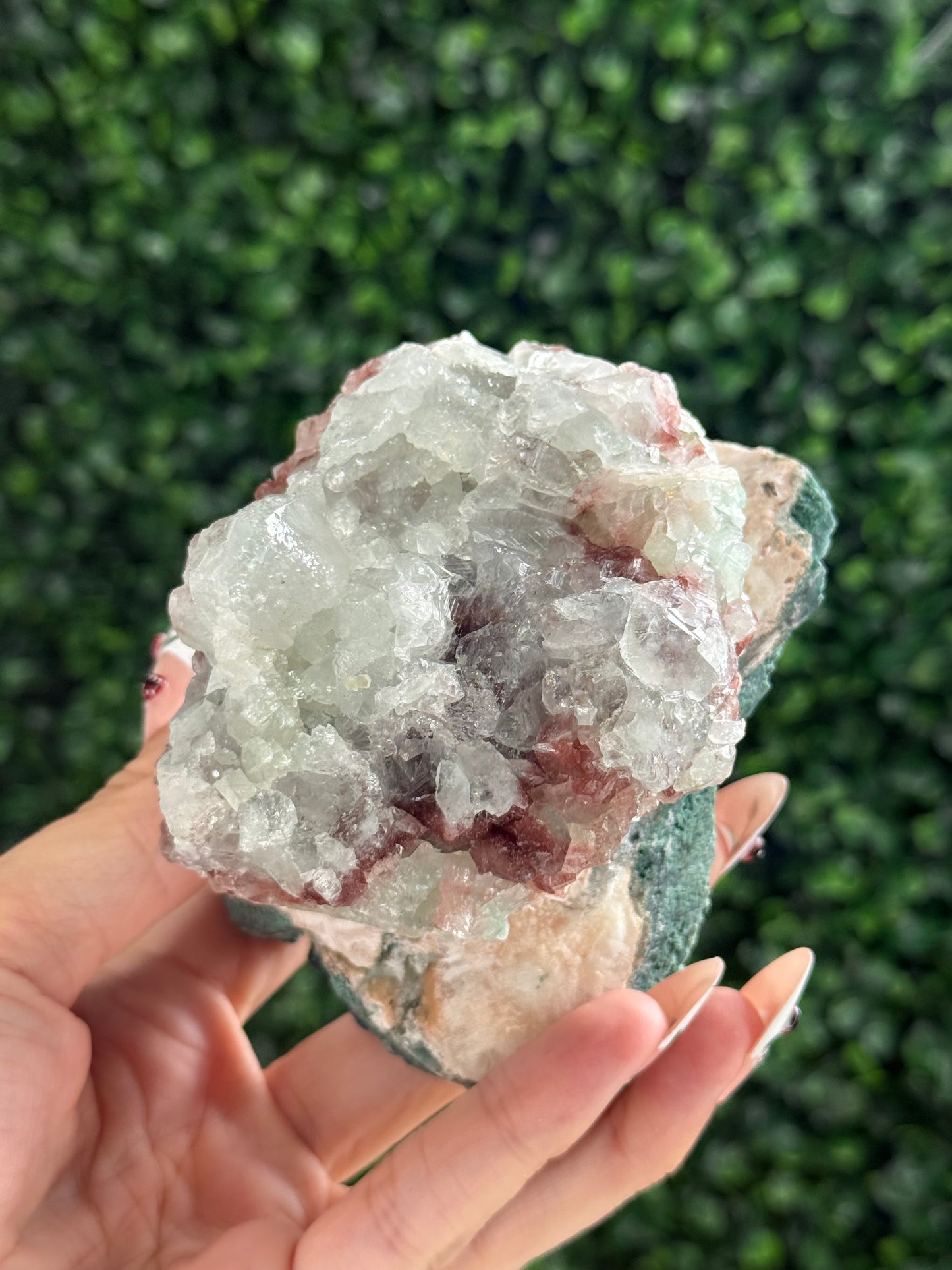 Marshy and Green Apophyllite Crystal Specimens from India