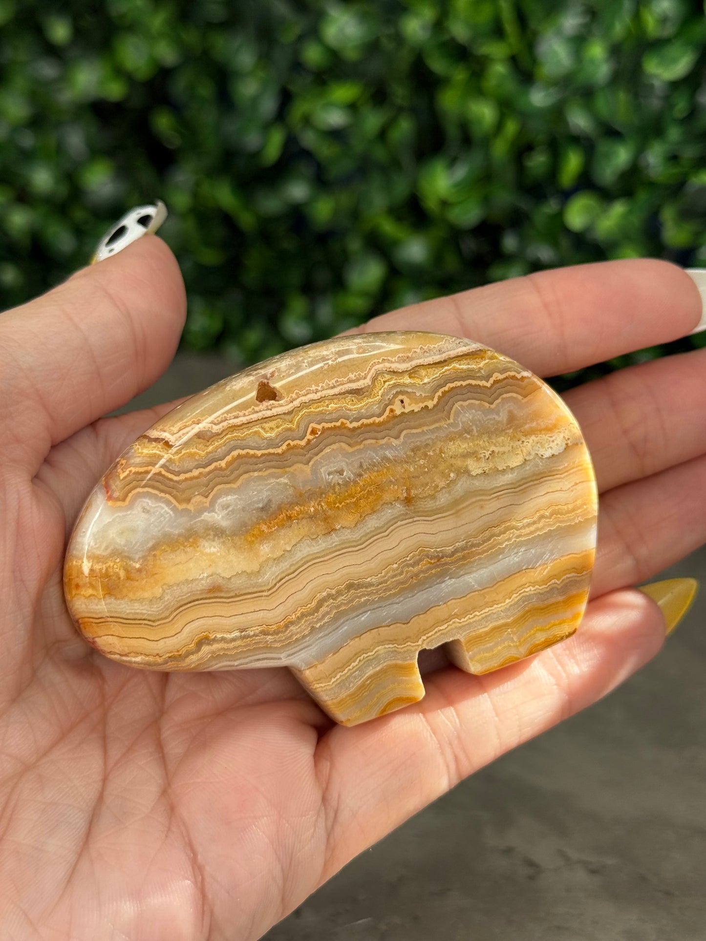 Yellow Crazy Lace Agate Bear Crystal Carvings - Indonesia