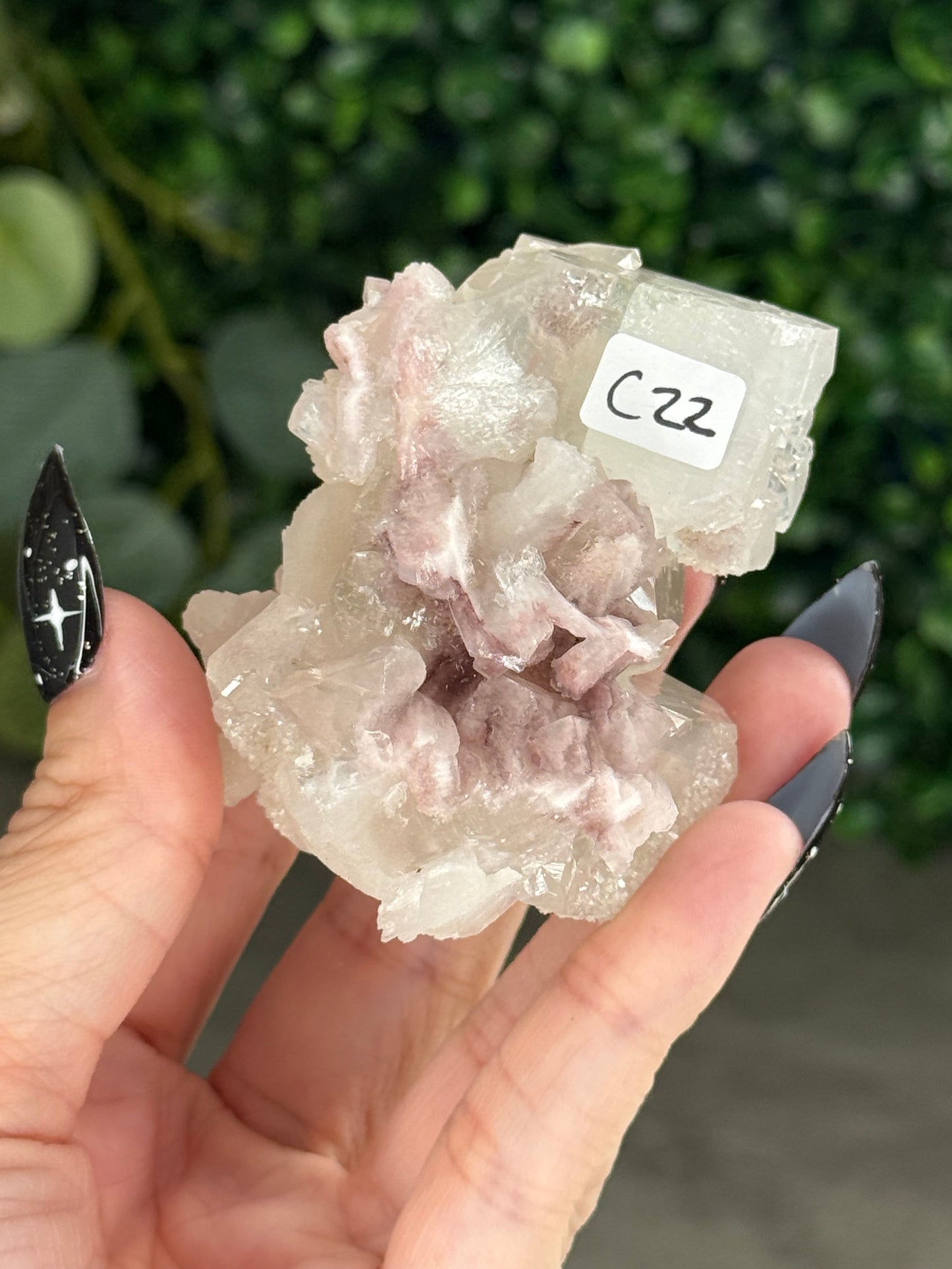 Pink & Green Apophyllite Specimens - C