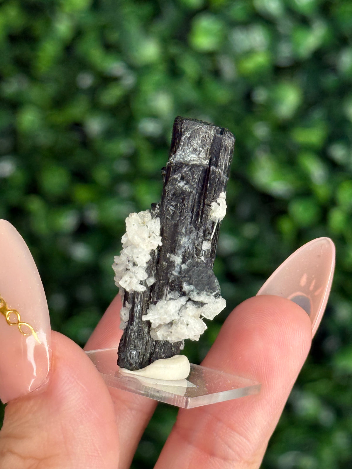 Black Tourmaline with Albite Specimen Skardu Valley, Pakistan E