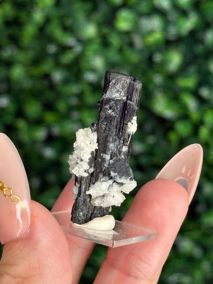 Black Tourmaline with Albite Specimen Skardu Valley, Pakistan E