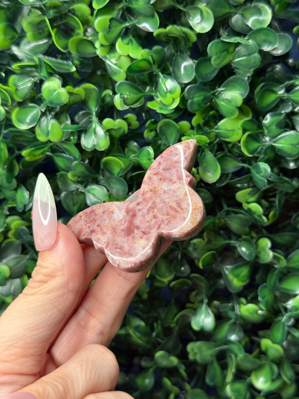Strawberry Jasper Mini Butterfly Crystal Carvings - Pakistan