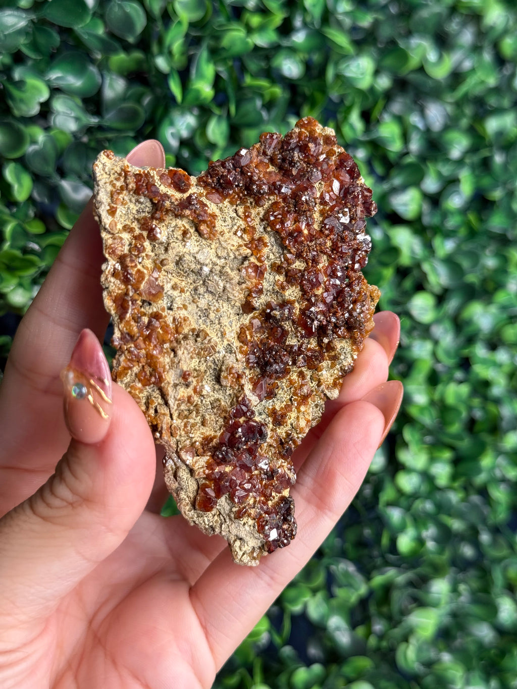 Andradite garnet from Nusa Tenggara Timur - Indonesia - F