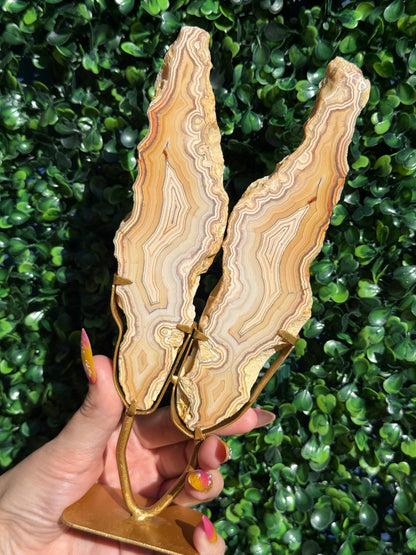 Yellow Crazy Lace Agate Druzy Wings Crystal Carving - Indonesia