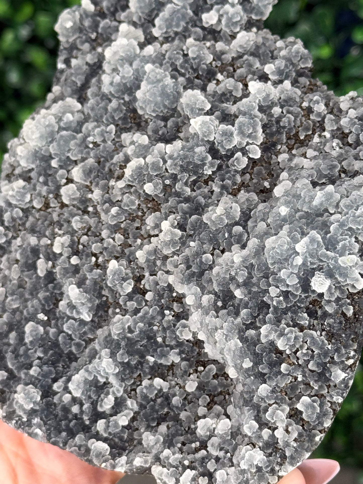 Black Chalcedony Crystal Specimen P