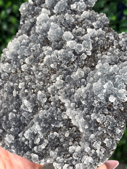Black Chalcedony Crystal Specimen P