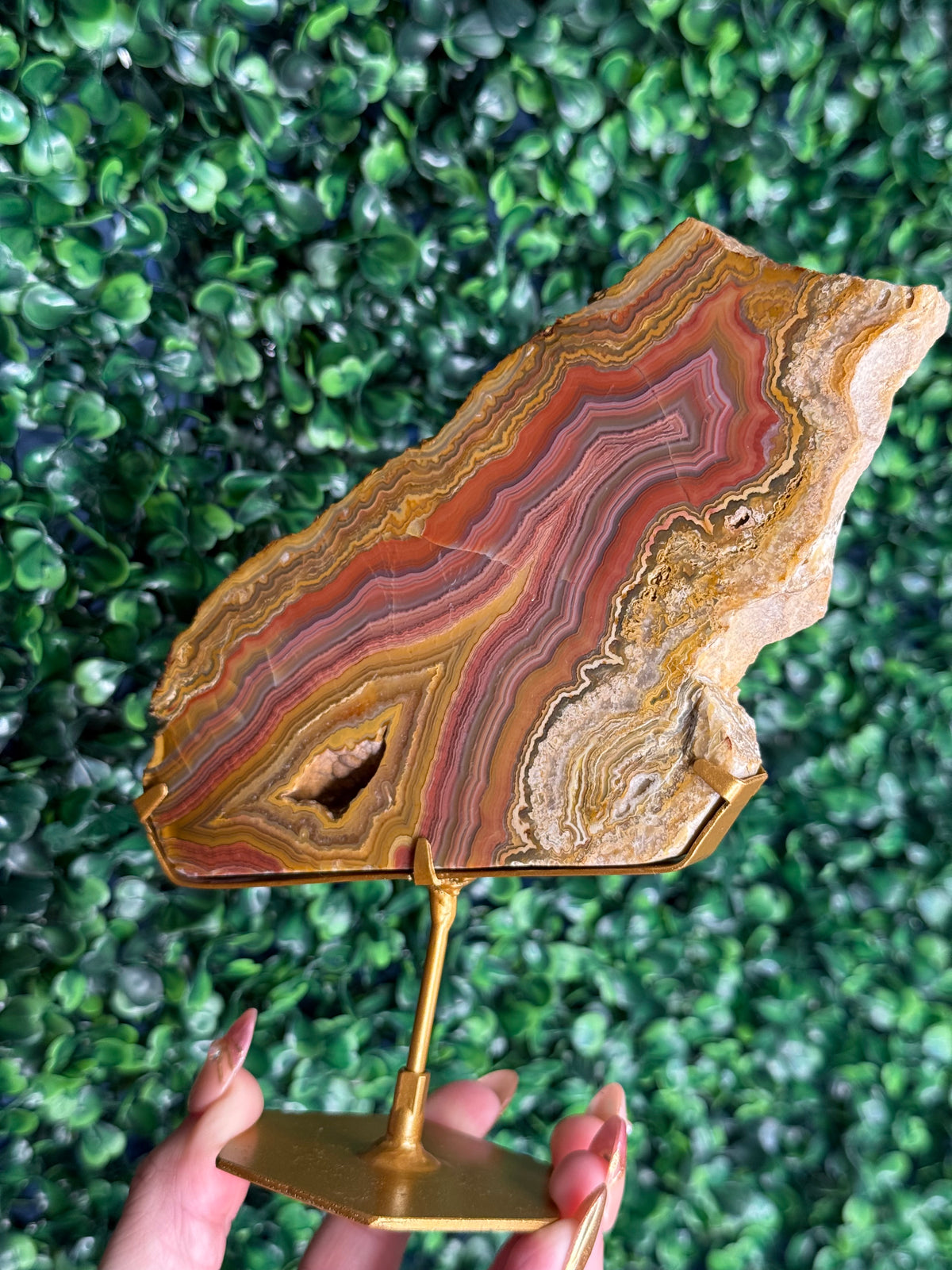 Colourful Crazy Lace Agate Slab from Indonesia - E