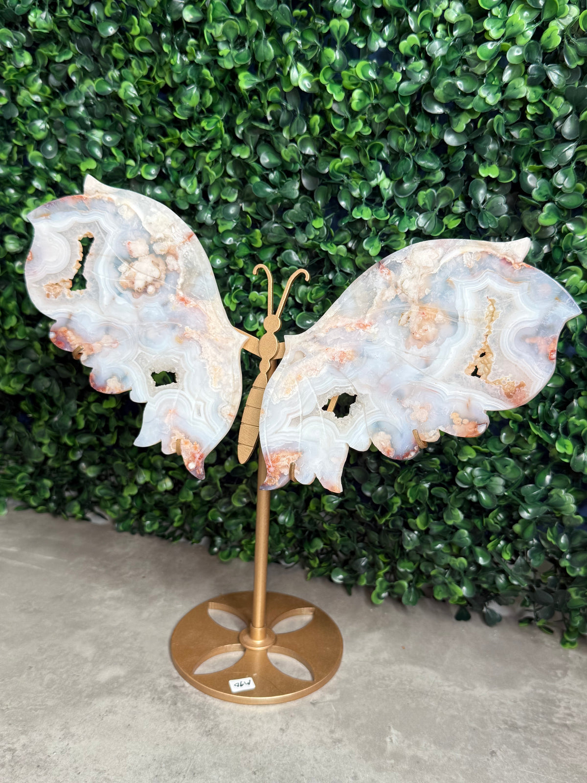 Carnelian Flower Agate Butterfly Wings Crystal Carvings - Large Size - M