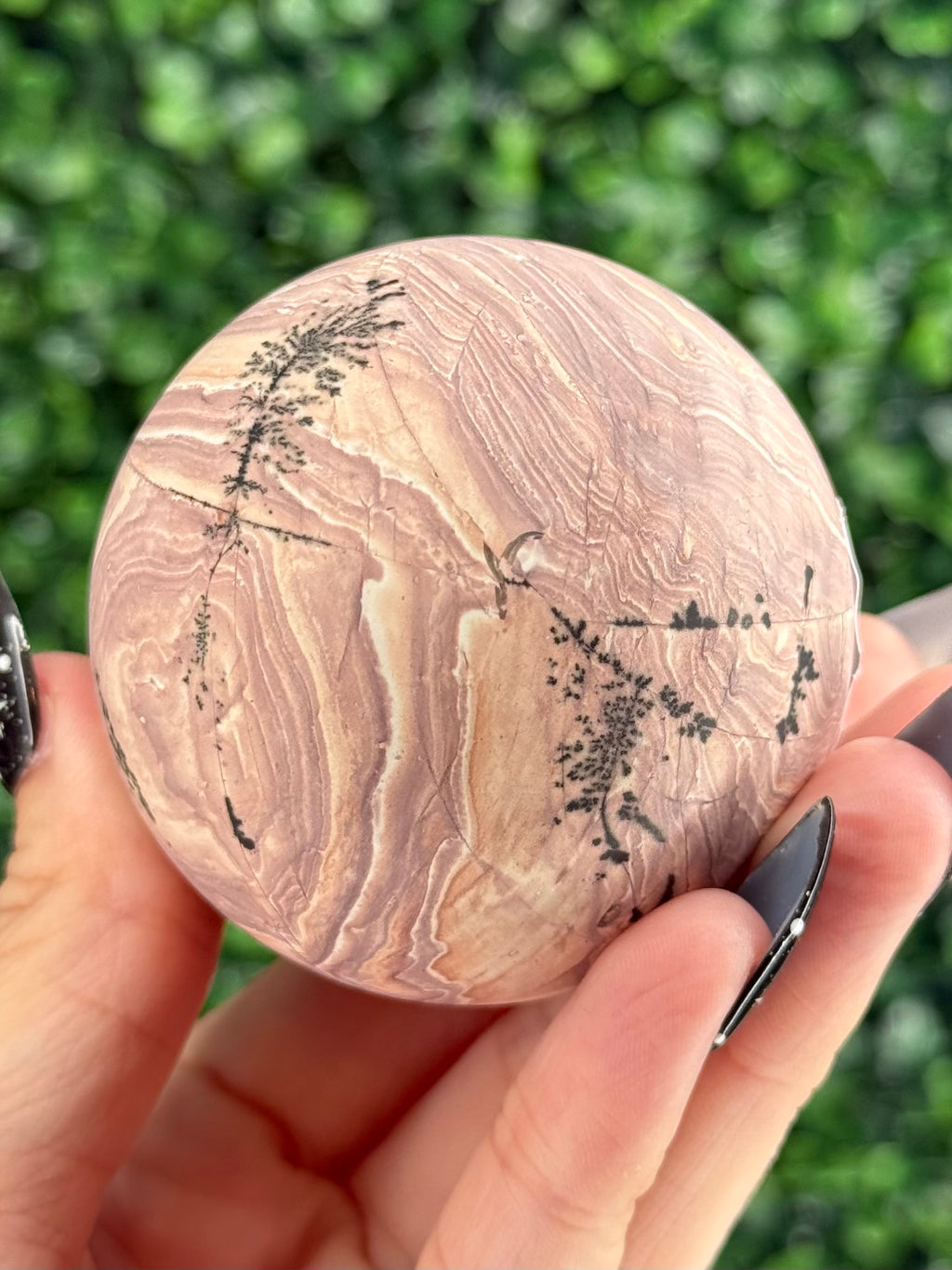 Pink Picture Jasper Spheres F