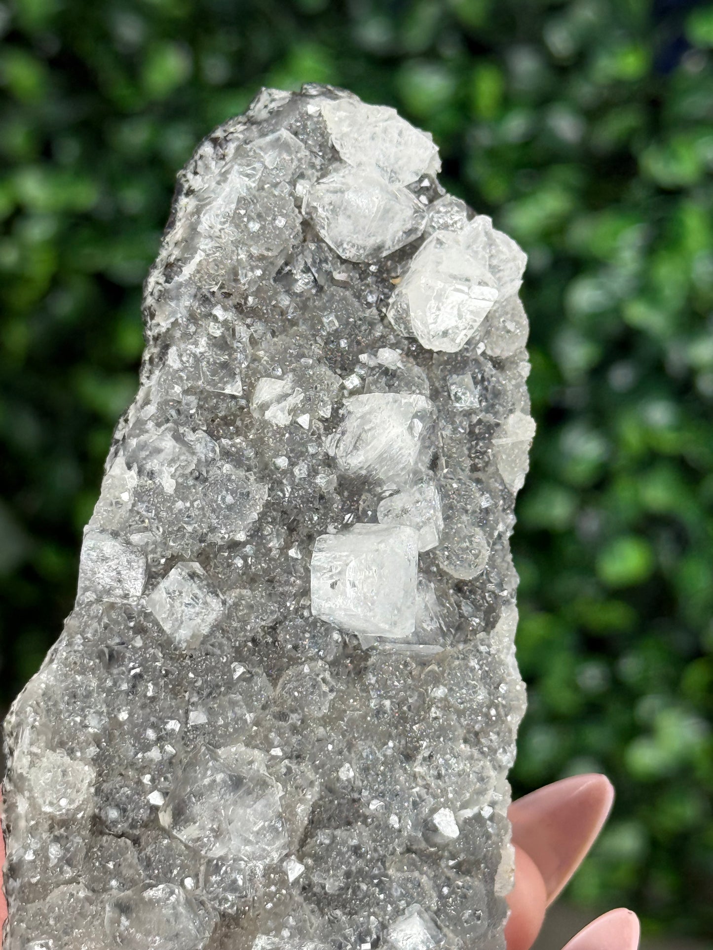 Black Chalcedony with Apophyllite M